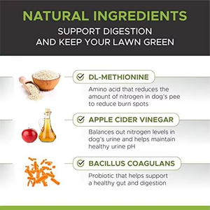 ペットヘルスケア犬のためのOEM/ODM草グリーンペットヘルスケアサプリメントソフトチューズ - Product Image 2