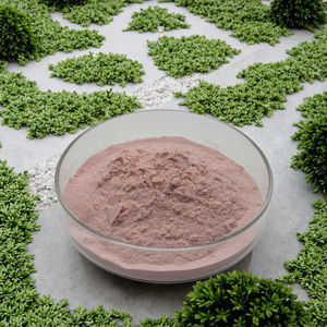 Vatica instan segar Astrotricha bubuk Plum hijau terlibat - Product Image 5