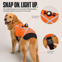 Gilet de sécurité pour animaux de compagnie pour les promenades nocturnes, gilet réfléchissant pour chien à haute visibilité avec bandes réfléchissantes à 360° et deux boucles lumineuses, sangle à dégagement rapide