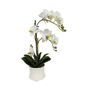Piante di <span class=keywords><strong>Orchidea</strong></span> Artificiali in PEVA di Alta Qualità, Realistiche al Tatto, con Vaso, Fiori di <span class=keywords><strong>Orchidea</strong></span> con Vaso <span class=keywords><strong>per</strong></span> Decorazione d'Interni - Product Image 2
