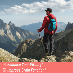 Gummies au fer ODM OEM sous marque privée avec multivitamines : favorisent la santé sanguine, renforcent le système immunitaire et soutiennent la santé des articulations - Product Image 3