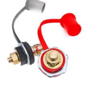 Poteau de chargeur de batterie de type long 250A Lot de 2 matériaux en laiton avec goujons rouges et noirs Borne à vis Application automobile