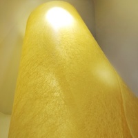 Tissu non tissé spunbond robuste à haute résistance à la traction, porosité contrôlable pour couche de support de média filtrant, approvisionnement en vrac B70BC