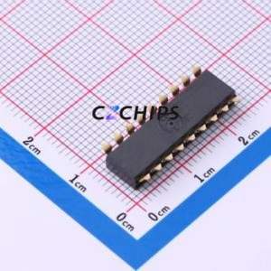 DSIC09TSGER DIP Switch Switch ( Number of Switch Sections: 9-Bit )( Lead Spacing: 2.54mm ) - Product Image 2