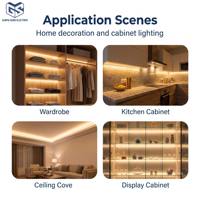 Lampe en silicone souple pratique sans soudure, 12V/24V 2835 120d, une couleur, 8W/m, lumière LED pour armoire, décoration de la maison