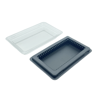 Vente en gros PET & PS Boîte d'emballage en plastique pour PC3 PC4 DDR3 DDR4 DDR5 Memory Pack