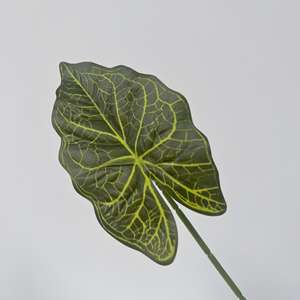 Vegetación artificial a granel para floristas con planta de aire de bambú de la suerte de helecho espárrago y <span class=keywords><strong>plantas</strong></span> verdes realistas de hoja de Alocasia - Product Image 2