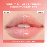SheDiary Huile à Lèvres Hydratante Effet Repulpant Teinté Longue Durée Couleur Vin Brillant Format Voyage 15ml – Marque Privée OEM