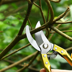 Pruning Shears for Fruit Trees <strong>Branch</strong> <strong>Cutting</strong> <strong>Tools</strong> for Landscaping Flower Shears for Trimming Gardening Scissors - Product Image 3