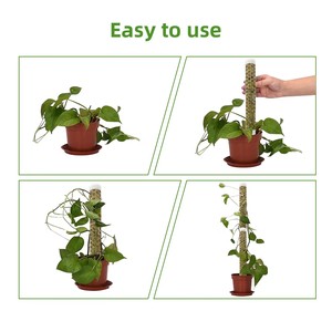 Indoor <strong>Plants</strong> Supporting Extendable <strong>Selfwatering</strong> Steel Coir Fiber Anti-Mouldy Moss Pole for Home &amp; Garden - Product Image 4