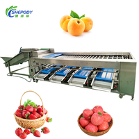 Machine de tri de fruits Shepody en acier inoxydable 304 pour pommes, avocats et fraises, idéale pour les usines de transformation de fruits
