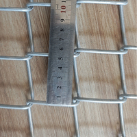 Malla de Alambre Galvanizada por Inmersión en Caliente de 2.0-3.5mm 50*50mm para Perímetros de Estaciones de Esquí y Deportes de Invierno