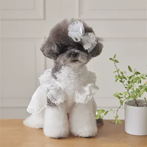 Roupas de Algodão para Cães e Gatos Primavera Verão, Saia de Renda, Vestido de Princesa para <span class=keywords><strong>Maltese</strong></span>, Chihuahua e Cães Pequenos, Atacado - Product Image 3