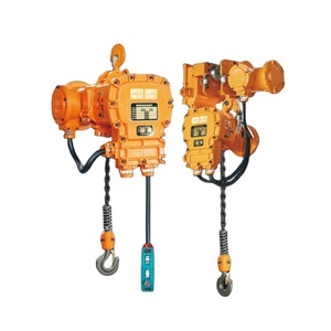 Capacité de charge de <span class=keywords><strong>2</strong></span> <span class=keywords><strong>tonnes</strong></span> Hauteur de levage de 4 mètres <span class=keywords><strong>Palan</strong></span> à chaîne électrique Conception antidéflagrante à crochet <span class=keywords><strong>Palan</strong></span> à chaîne manuel à boîte de vitesses 380V - Product Image 6