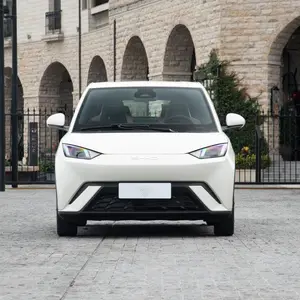 2024 Letin manggo byd seagull ev energi baru otomotif mobil elektro Cina mobil listrik mini untuk dewasa digunakan