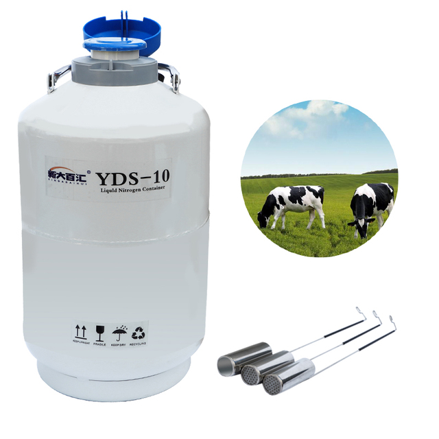 Artificial Insemination Institute Cryogenic Dewar YDS 10 Vacuum Semen Storage tank Bovine Semen for Sale