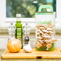 Kit de culture de champignons bio Cadeau de jardinage Kit de culture de champignons d'huîtres Set de culture de jardin