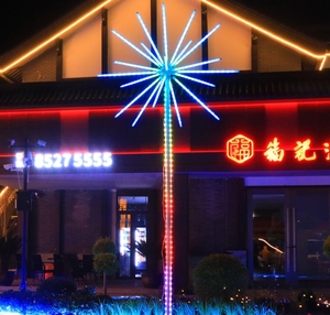 2M Ngoài Trời LED Giáng Sinh Trang Trí 220V Cây Motif Ánh Sáng Cho Sân Vườn Đường Phố Trang Trí LED Ngoài Trời Đèn Pháo Hoa - Product Image 5