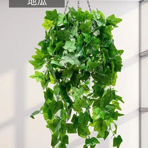 Décoration murale d'intérieur pour maison simulation rotin simulation feuille de pothos creeper vente en gros - Product Image 3