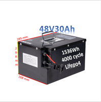 LiFePO4 Traktionsbatterie 48V 52V 60V 72V 30Ah 40Ah 50Ah 60Ah 72V E-Bike Akku mit BMS 1000W 1500W 2000W Batterieboxen und Halterungen