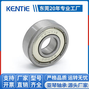 ผู้จัดจำหน่ายขายส่งลูกปืนเม็ดกลมร่องลึกสแตนเลส 6000ZZ (ขนาดที่ไม่ได้มาตรฐาน 9.93*26*8 มม.) 607ZZ C3 มีจำหน่าย - Product Image 5