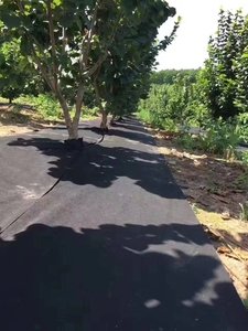 Usine chinoise, vente en gros, géotextiles tissés de haute qualité, barrière anti-mauvaises herbes, tissu paysager, couverture de sol, polyester <span class=keywords><strong>noir</strong></span> PP - Product Image 4