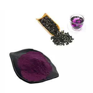 Großhandel Black Chinese Wolf berry Extract Powder Bio Schwarzes Goji Berry Powder