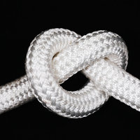 Corde d'amarrage torsadée en polyester 8 ou 12 brins, super résistante, durable et étanche, avec rotation à 360 degrés (Usine de Jiangsu)