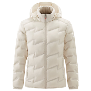 Manteau d'hiver en duvet pour homme, de haute qualité, décontracté, à capuche, en toile, avec fermeture éclair et col montant - Product Image 1
