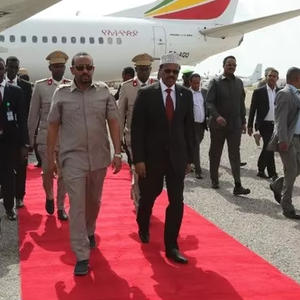 Thảm đỏ tùy chỉnh kích thước bán buôn thảm cưới màu đỏ - Product Image 3