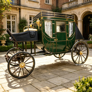 Carrosse électrique ZOWN Royal à chevaux, modèle Cendrillon, avec autres options de puissance, normes d'émission chinoises, vente directe usine - Product Image 1