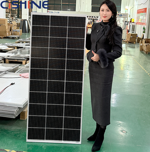 Panneau solaire monocristallin Cishine petit format 12V 24V 36V personnalisé 50W 100W 150W 200W 250W 300W pas cher - Product Image 2