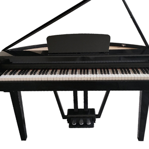 Aierke 800 người mới bắt đầu đàn piano kỹ thuật số với 88 phím phân loại búa hành động bàn phím đứng & duy trì bàn đạp bao gồm sử dụng điều kiện tốt - Product Image 2