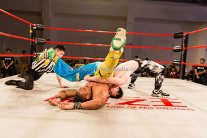 FightBro EPW <span class=keywords><strong>wwe</strong></span>职业摔跤圈 - Product Image 5