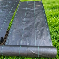 Membrane tissée en PP, couverture de sol en PE, filet anti-herbe, tissu anti-mauvaises herbes, film de paillage, plastique UV, plastique agricole