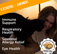 Suppléments nutritionnels L-lysine pour animaux de compagnie en OEM/ODM avec DHA et colostrum pour améliorer le système immunitaire des mastics remplis de chat