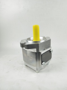 Bomba Hidráulica Eckerle, Bomba de Aceite EIPC5-064/80/100RK/RA/LK30-10, Bomba de Engranajes para Máquina de Moldeo por Inyección - Product Image 3