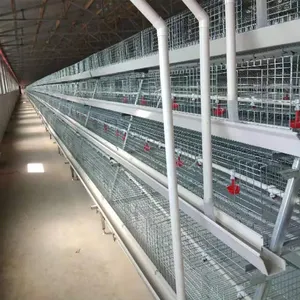 Gallinero de alta calidad para 500 pollos techo gallinero jaula China al por mayor Gran acero y madera