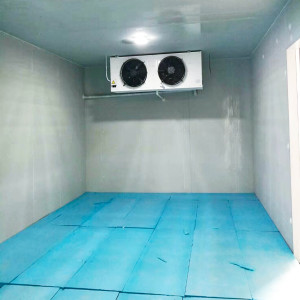 -40 ℃ ~ 0 ℃ Armazém Walkin Congelador 20ft Sala fria de baixa temperatura - Product Image 3
