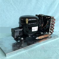 Mini-réfrigérateur QD30HCQD52HC, refroidisseur d'eau, unité de condensation hermétique TECUMSEH, filtre de condenseur, réfrigérant R134A, respectueux de l'environnement