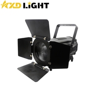 Manuelle/auto zoom optional 200w 15-50 grad LED Fresnel scheinwerfer kühles weiß/warm weiß studio theater konzert