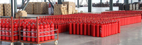 Cylindre d'extincteur vide Lutte contre l'incendie Cylindre d'extinction pour SaleCo2 Fire Facile à utiliser 2kg