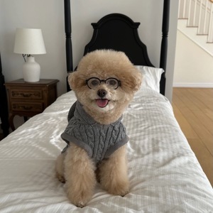 Ropa para mascotas, estilo coreano, capa/chal cálido, adecuado para perros pequeños y medianos, gatos y ositos de peluche, engrosado para mayor comodidad. - Product Image 3