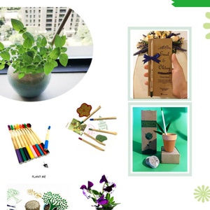 Nuevo Lápiz Ecológico Creativo con Logo Imprimible, Lápiz de Madera con Planta en Cápsula - Product Image 6