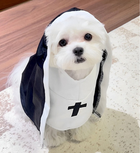Disfraz <span class=keywords><strong>de</strong></span> <span class=keywords><strong>Monja</strong></span> para Mascotas <span class=keywords><strong>de</strong></span> Halloween, Color Negro y Blanco, Disfraz <span class=keywords><strong>de</strong></span> Cosplay para Perros y Gatos Pequeños y Medianos, Accesorios Divertidos para Fotos - Product Image 3
