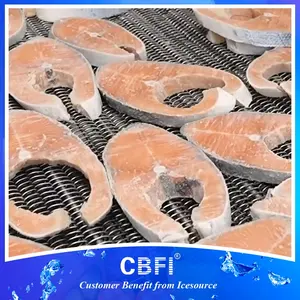 Congelador espiral Iqf para salmão em pedaços 800kg/h a 2000kg/h