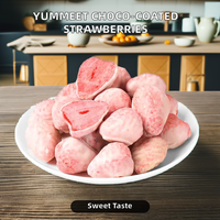 Fraises lyophilisées enrobées de chocolat faible en sucre, emballage en vrac, collation naturelle conservée, goût sucré et acidulé