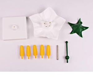 Modèle anatomique pédagogique de fleur de pomme de terre pour usage médical et scolaire - Product Image 2