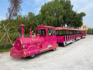 Tren Turístico Urbano <span class=keywords><strong>de</strong></span> 72 Asientos, Personalizado, Colorido y Atractivo, OEM - Product Image 1