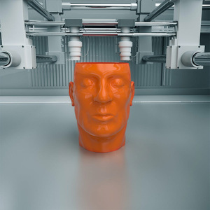 Rapid Prototype 3D Print Services Plastic ABS HIPS PLA Nylon 3D Printing Rpaid Prototyping